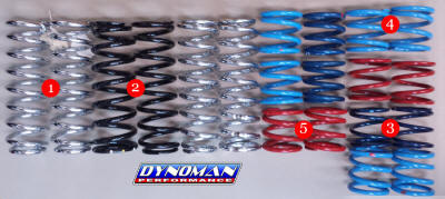 Progressive Shock Springs at Dynoman
