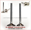 DP Custom Valves for Yamaha XJ1100