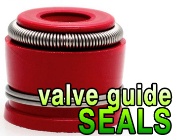GS1000 Viton Valve Guide Seals at Dynoman